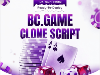 whitelabel-bcgame-clone-software-with-free-consultation-global-ready-solution